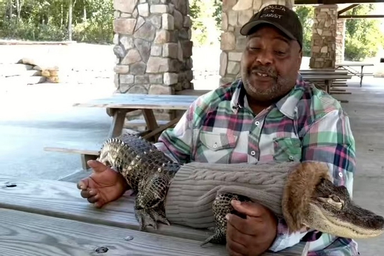 Mang cá sấu 'chữa lành' vào siêu thị Mỹ, người đàn ông bị từ chối gây tranh cãi