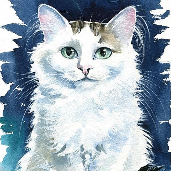 Tử vi 3 con giáp may mắn nhất thứ Hai 159 Tiền đổ về túi liên tục bội thu tài lộc