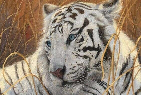 Cuối ngày hôm nay (15/9/2025), 3 con giáp bước ra ngoài là có tiền, tài lộc vào nhà tới tấp