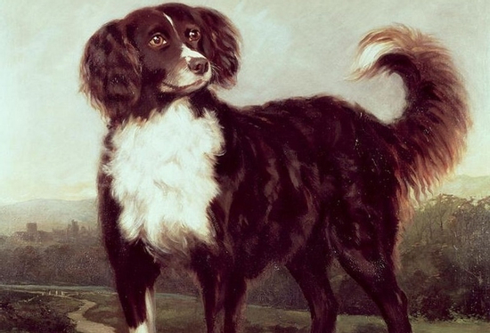 3 con giáp trúng số độc đắc 300 tỷ vào đúng ngày 15/9/2025, đắc lộc tiền vào như nước, sự nghiệp hanh thông một bước lên hương đổi