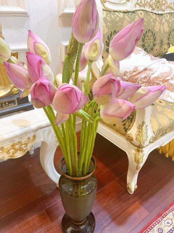 Thụy Vân - Á hậu Thạc sĩ xinh đẹp và Căn hộ sang trọng tại Hà Nội - Ảnh 16.