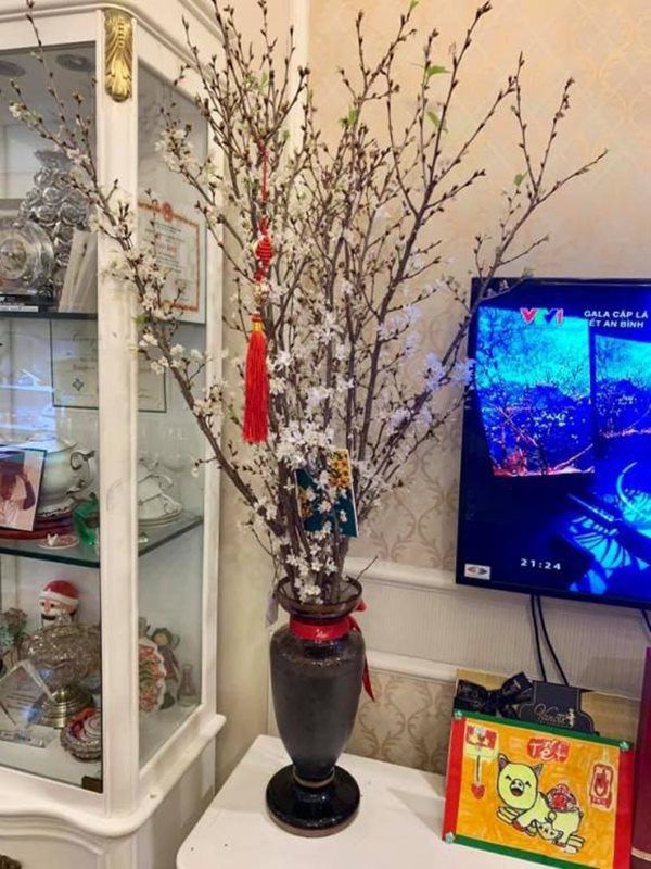 Thụy Vân - Á hậu Thạc sĩ xinh đẹp và Căn hộ sang trọng tại Hà Nội - Ảnh 13.