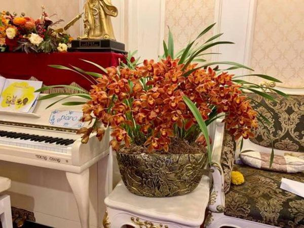 Thụy Vân - Á hậu Thạc sĩ xinh đẹp và Căn hộ sang trọng tại Hà Nội - Ảnh 10.