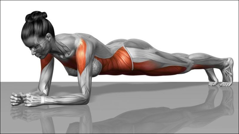 Tập plank có tác dụng gì? Tập Plank hàng ngày có tốt không?