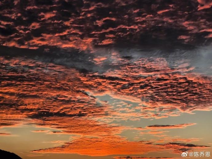 9 năm ngày sao nam Cbiz chết đầy bí ẩn Trần Kiều Ân năm nào cũng tưởng nhớ