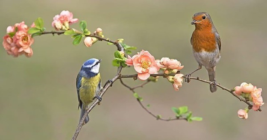 Top ngày sinh Âm lịch may mắn nhất cuối năm 2025, tài lộc hanh thông