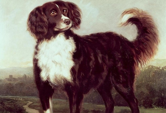 Sau 16h30 chiều nay (17/9/2025), 3 con giáp tiền bạc đổ về ồ ạt như thác đổ, sự nghiệp hanh thông, giàu sang hơn người