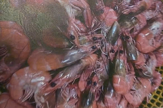 Làm rõ thông tin tố cáo 'nhập thực phẩm bẩn vào trường tiểu học ở Đà Lạt' gây xôn xao mạng xã hội