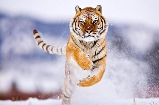 Đúng 6h sáng mai, thứ Sáu 19/9/2025, 3 con giáp được Thần tiên ưu ái, tiền ào ào đổ về túi, chi tiêu không cần nghĩ