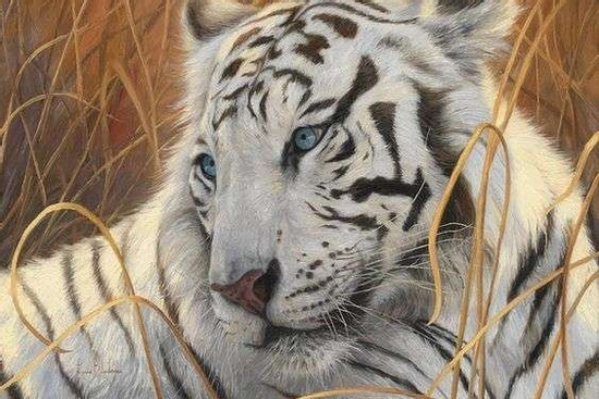 Sau thứ Bảy ngày 20/9/2025, 3 con giáp tài lộc dồi dào, tiền bạc đầy túi, sự nghiệp chạm đến đỉnh cao danh vọng