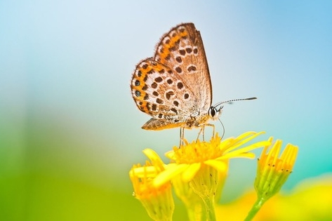 Ngày sinh Âm lịch hé lộ người giàu ý chí vươn lên, càng khó khăn càng tỏa sáng