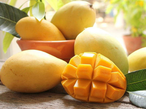 Xoài: 'Ông vua trái cây nhiệt đới' và những công dụng tuyệt vời cho sức khỏe - Ảnh 2