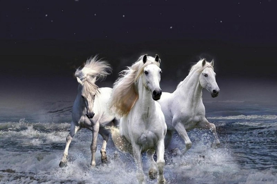 Trúng số vào đúng ngày mai, 25/9/2025, 3 con giáp cuộc sống khấm khá, tình duyên công danh đều chạm nóc