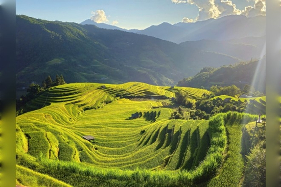 Ngắm những thửa ruộng bậc thang tuyệt đẹp ở Hoàng Su Phì