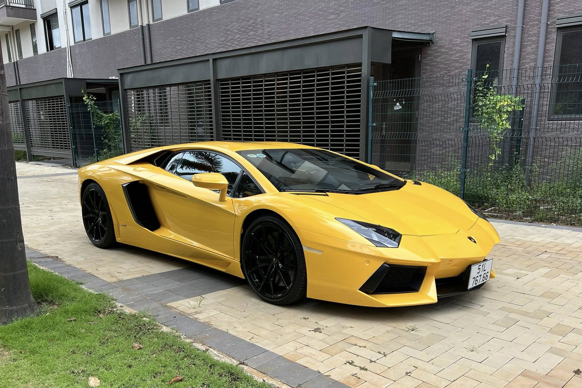 aventador vang 5.jpg