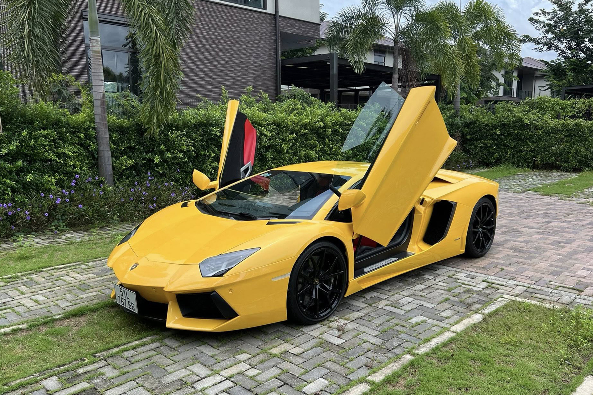 aventador vang 1.jpg