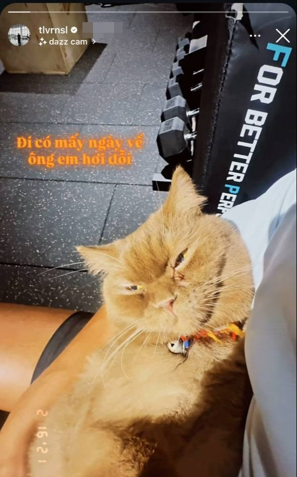 Thêm bằng chứng cho thấy Tóc Tiên và Touliver không còn sống chung