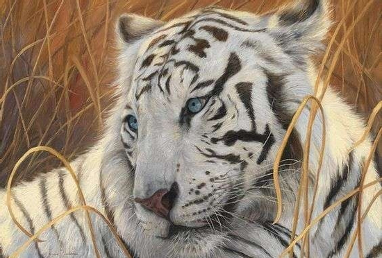 3 con giáp trúng số độc đắc đúng 300 tỷ vào ngày 26/9/2025, tiền tài viên mãn, sự nghiệp gặt hái thành quả xứng đáng