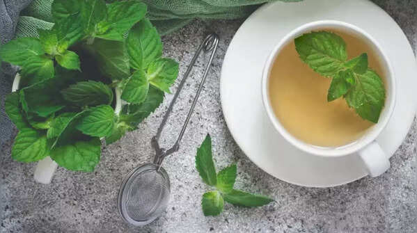 Trà chùm ngây và bạc hà