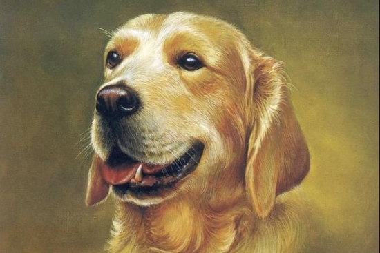 Đúng 3 ngày liên tiếp 3/9,4/9,5/9, 3 con giáp vận trình hanh thông, sự nghiệp thăng hoa