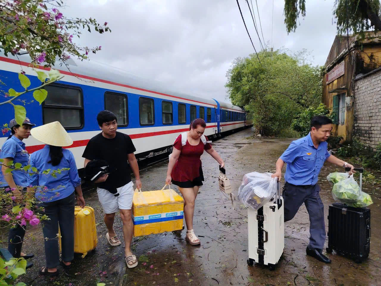 07975130 afc4 446a 8e2c 9d0d9e172294.jpeg