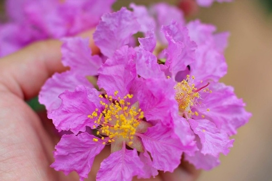 Đúng ngày mai, thứ Bảy 6/9/2025, 3 con giáp được Quý Nhân soi đường chỉ lối, trúng số cực to, tiền bạc chật két