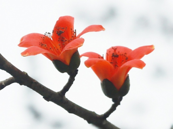 Đúng ngày mai, thứ Bảy 6/9/2025, 3 con giáp được Quý Nhân soi đường chỉ lối, trúng số cực to, tiền bạc chật két, dang tay đón vàng, tương lai huy hoàng - Ảnh 1