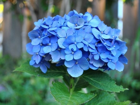 Trong vòng 3 tháng cuối năm 2025, 3 con giáp bắc thang đến thành công, ngân khố căng tràn