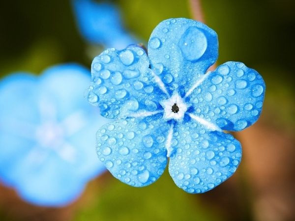 Trong vòng 3 tháng cuối năm 2025, 3 con giáp bắc thang đến thành công, ngân khố căng tràn, may mắn thấm vào người, tương lai xán lạn - Ảnh 1