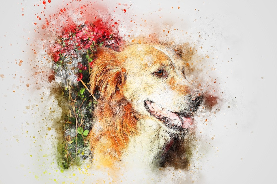 Tử vi 12 con giáp thứ Bảy ngày 692025