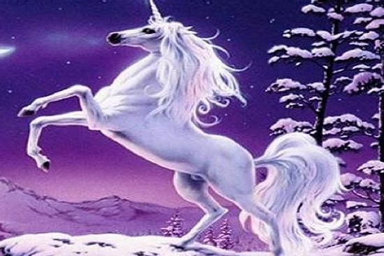 Trúng số độc đắc 2 ngày liên tiếp (9/9-10/9/2025), 3 con giáp cải vận đổi đời, tiền tỷ về tay