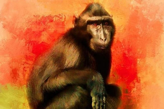 Trúng số độc đắc đúng ngày 7/9/2025, 3 con giáp tiền bạc tăng lên choáng ngợp, giàu sang khó ai sánh bằng