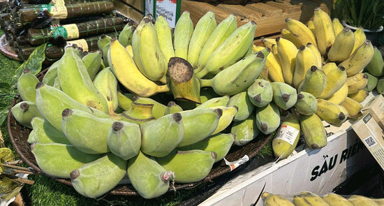 Ăn một loại quả lúc 11h giúp giảm mỡ máu, tốt cho tim mạch