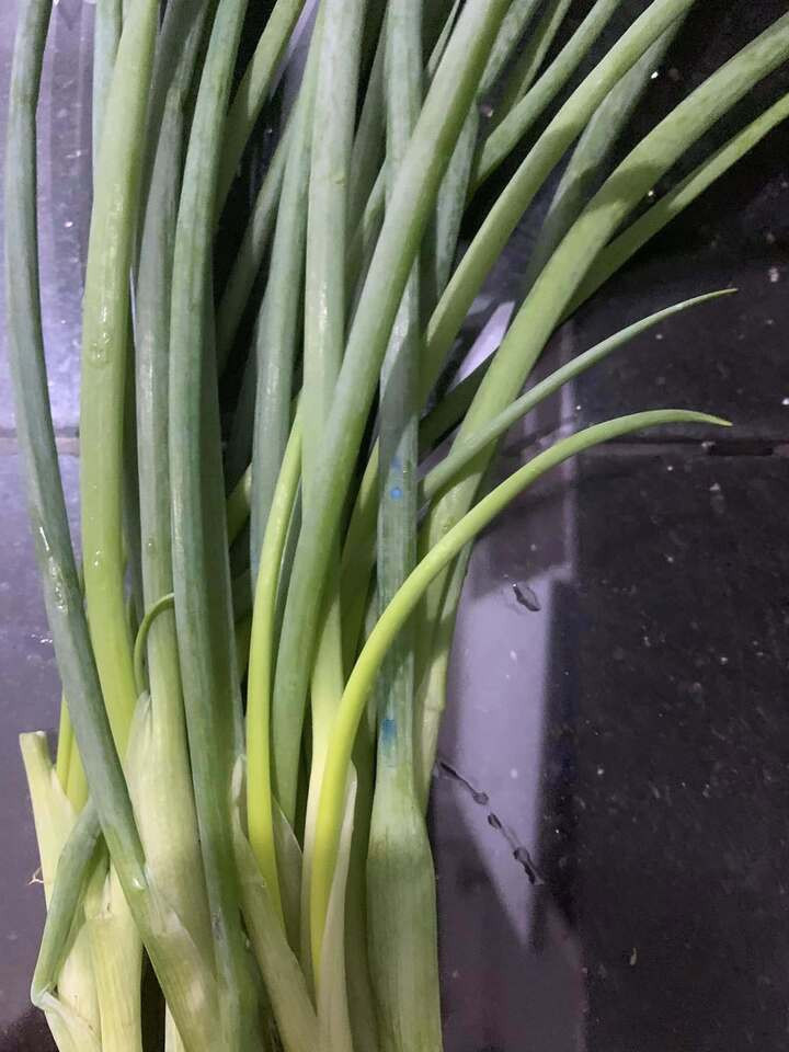 Dấu hiệu hành lá 'ngậm' hoá chất được chuyên gia ĐH Bách khoa chỉ rõ - 1