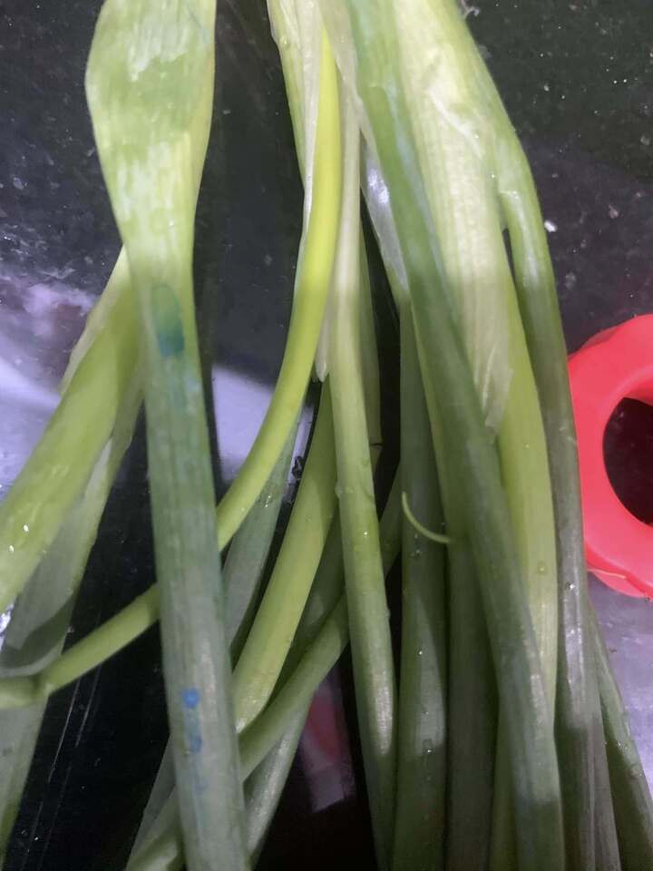 Dấu hiệu hành lá 'ngậm' hoá chất được chuyên gia ĐH Bách khoa chỉ rõ - 2