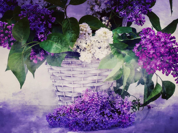 Nửa cuối tháng 9 dương lịch, 3 con giáp có mệnh số dát vàng, tiền của gấp bội, chạm tay vào may mắn, thành công trải thảm hồng - Ảnh 3