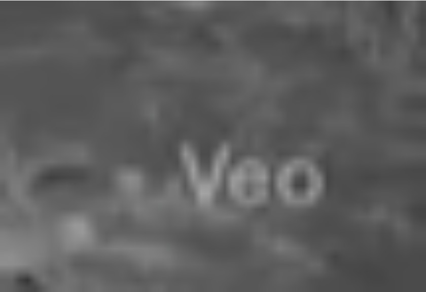 Video sư tử run sợ trước robot AI hút hơn 30 nghìn lượt quan tâm: Chuyên gia vào cuộc hé lộ sự thật - Ảnh 2.