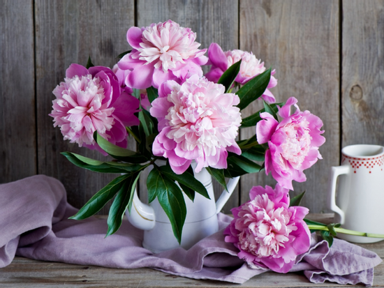 Qua đêm nay, 3 con giáp Thần Tài nắm tay, mua nhà trong tích tắc, giàu lên nhanh chóng