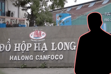 Tổng giám đốc Đồ hộp Hạ Long vừa bị bắt là ai?