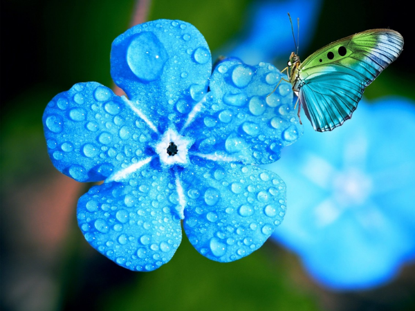 Cơ hội đến dồn dập trong tháng 12 âm lịch tới, 3 con giáp với tay nắm TIỀN TÀI, vận may đang đến, sớm muộn sẽ giàu sang, viên mãn chẳng ai bằng - Ảnh 3