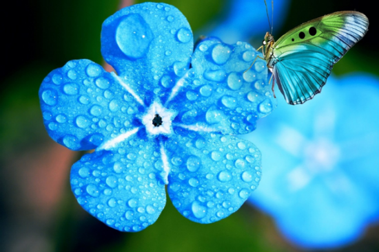 Cơ hội đến dồn dập trong tháng 12 âm lịch tới, 3 con giáp với tay nắm TIỀN TÀI, vận may đang đến, sớm muộn sẽ giàu sang, viên mãn chẳng ai bằng