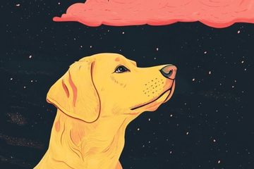 Đúng 15 ngày cuối cùng tháng 1/2026, 3 con giáp hứng mưa tiền tỷ, đón Tết như ý, phú quý lên hương