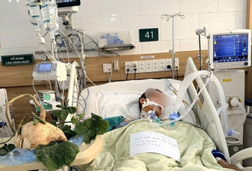 Diễn biến vụ 6 người trong gia đình ngộ độc do ăn hạt cây củ đậu tỉnh Ninh Bình