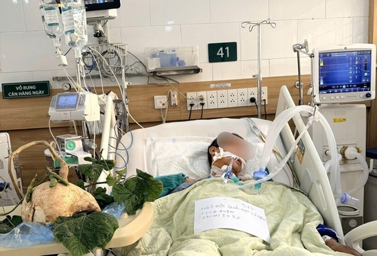 Diễn biến vụ 6 người trong gia đình ngộ độc do ăn hạt cây củ đậu tỉnh Ninh Bình