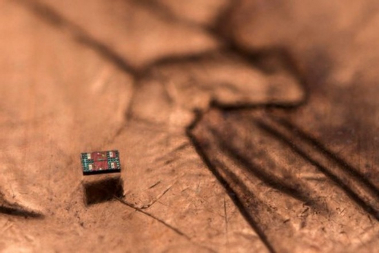 Robot siêu nhỏ biết bơi, tự suy nghĩ và hành động