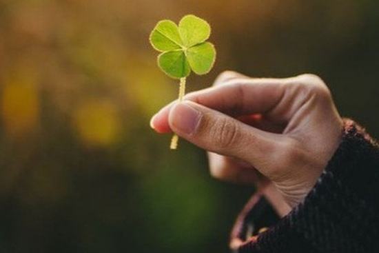 Xem ngay tháng may mắn năm 2026 theo thần số học của bạn