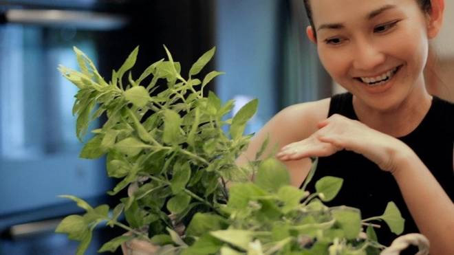 Bất Ngờ Thông Báo Ly Hôn Chồng Việt Kiều Mỹ, Kim Hiền Hiện Sống Trong Căn Nhà Ra Sao? 'Em Gái Tăng Thanh Hà' Sang Mỹ Sống, Khoe Không Gian Xanh Mát- Ảnh 5.