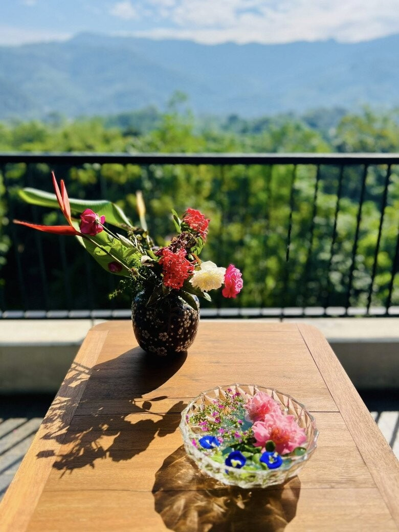 MC Diễm Quỳnh có khu vườn mùa đông đầy sắc màu tuyệt đẹp - Ảnh 15.