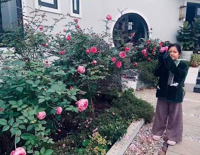 MC Diễm Quỳnh có khu vườn mùa đông đầy sắc màu tuyệt đẹp - Ảnh 11.