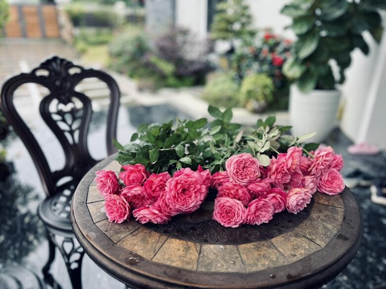 MC Diễm Quỳnh có khu vườn mùa đông đầy sắc màu tuyệt đẹp - Ảnh 17.